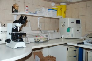 DSC_0121 (2)_small